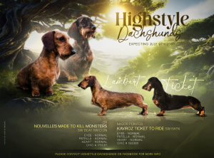 Ad design