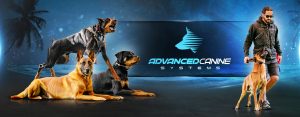 Ad design