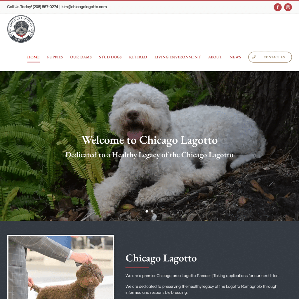 Chicago Lagotto Website