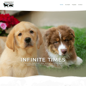 Infinite Times Website