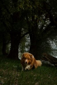 Photo by Marija Drobac