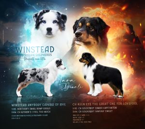 litter ad