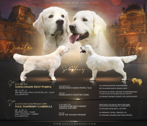 Ad design