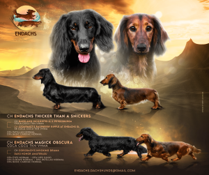 litter ad