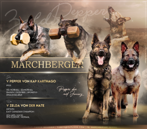 Ad design