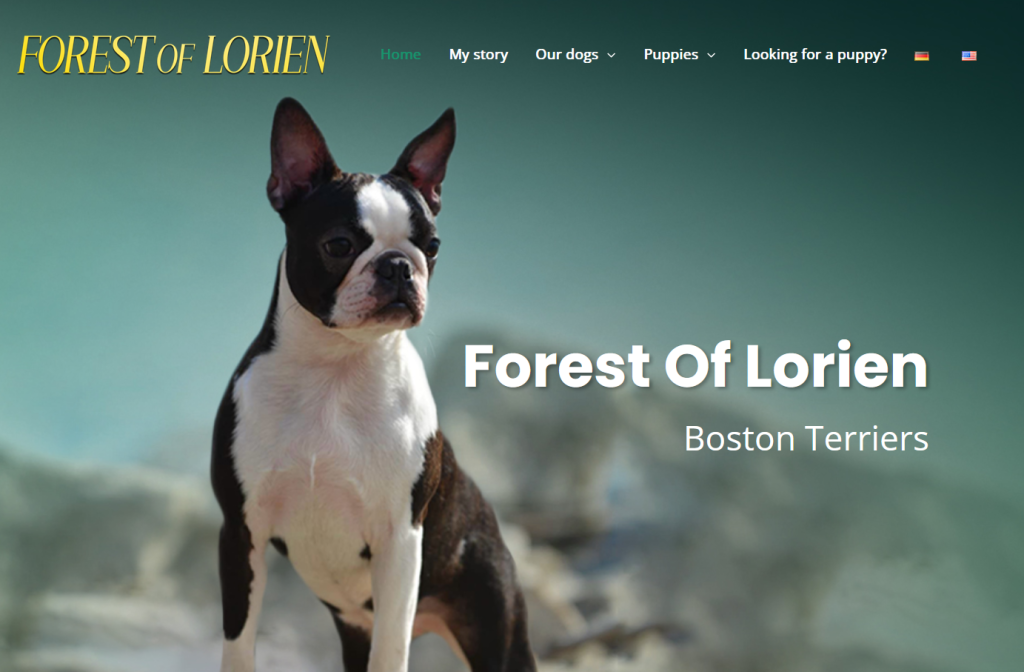 forest of lorien